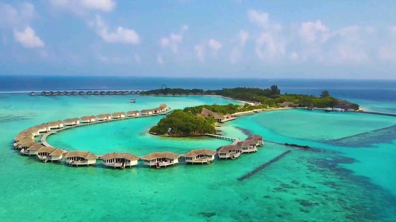 广东悦宏农业科技有限公司未按规定报送年度报告案